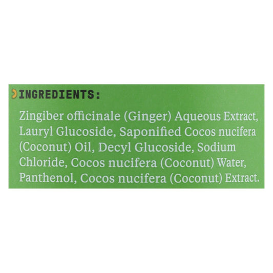 Alaffia - Everyday Shampoo - Coconut and Ginger - 32 fl oz.