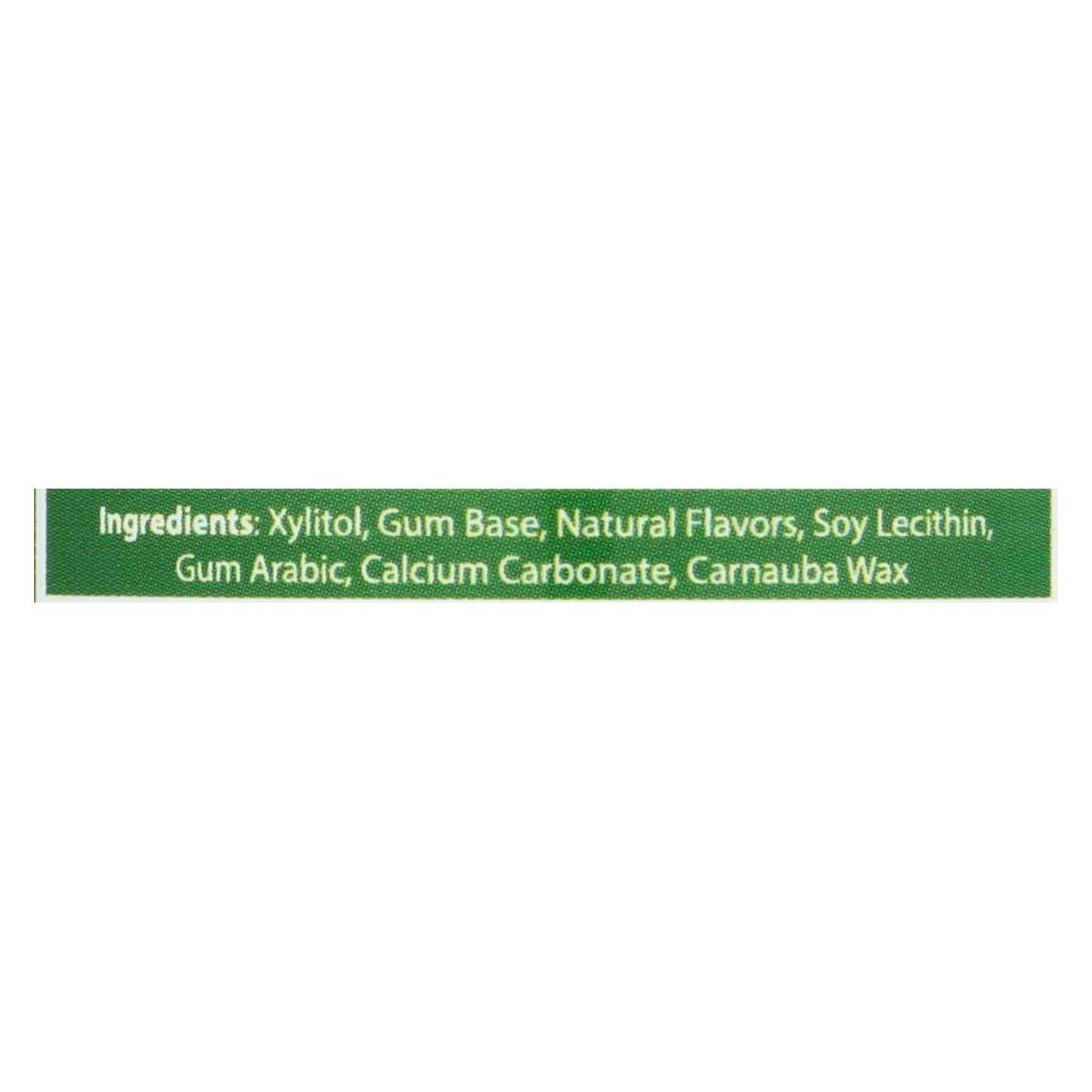 Epic Dental - Xylitol Gum - Spearmint - 50 Count