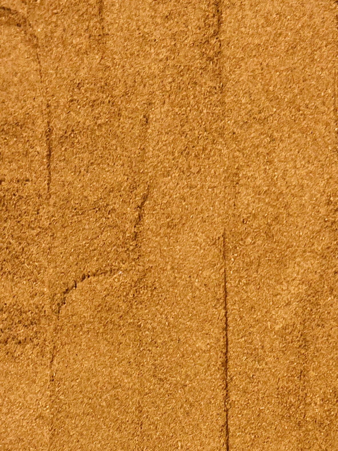 Sourcery Cinnamon - 6 Jars x 1 Case