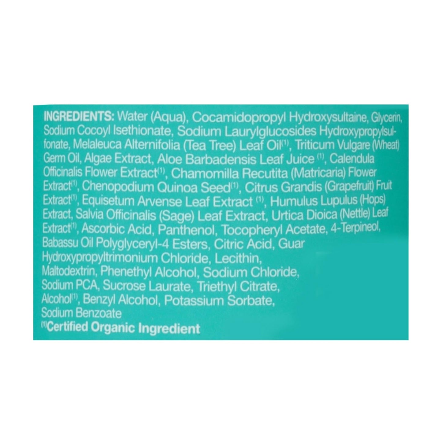 Jason Tea Tree Purifying Shampoo - 12 oz