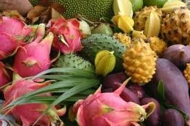Exotic Fruit Box (5lb)