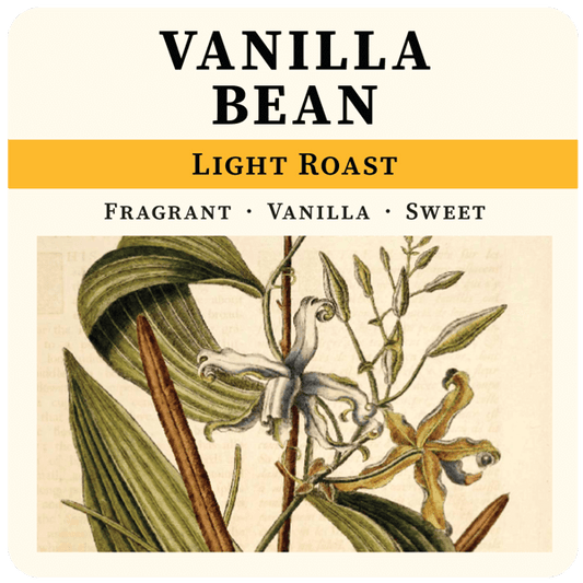 Vanilla Bean