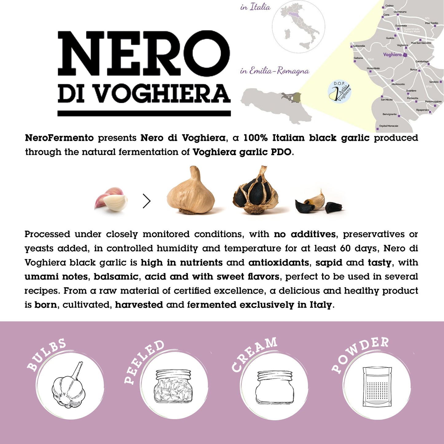 NERO FERMENTO Italian Black Garlic Cream 10.58 oz (300 g)