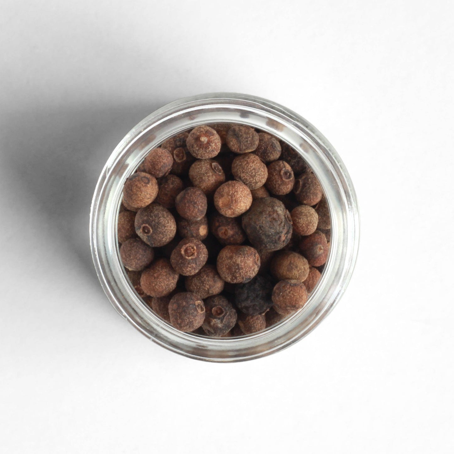 Curio Allspice - 6 Pack Case