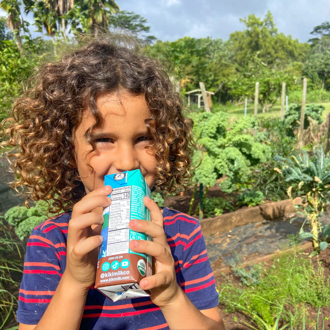 Chocolate Kiki Milk - 8 fl oz - Pack of 12 by Kiki Milk