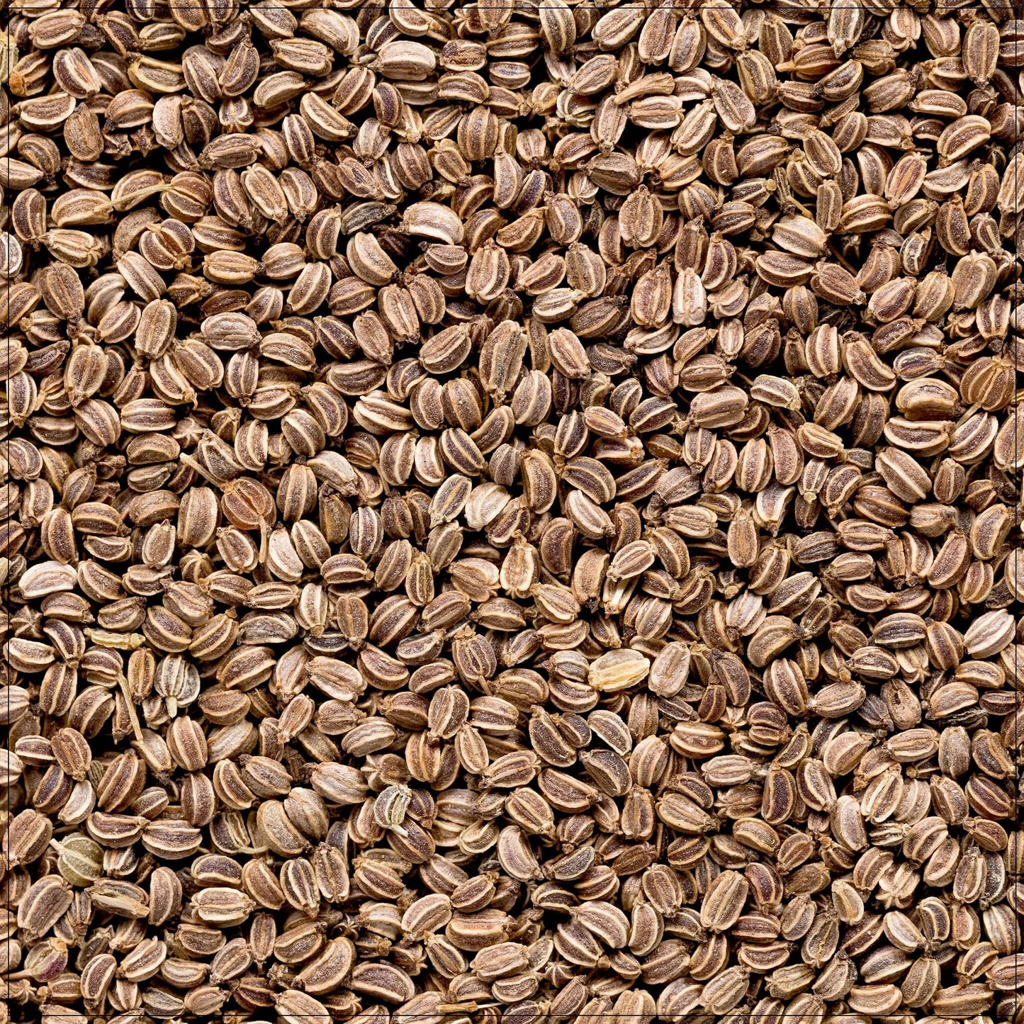 Celery Seeds