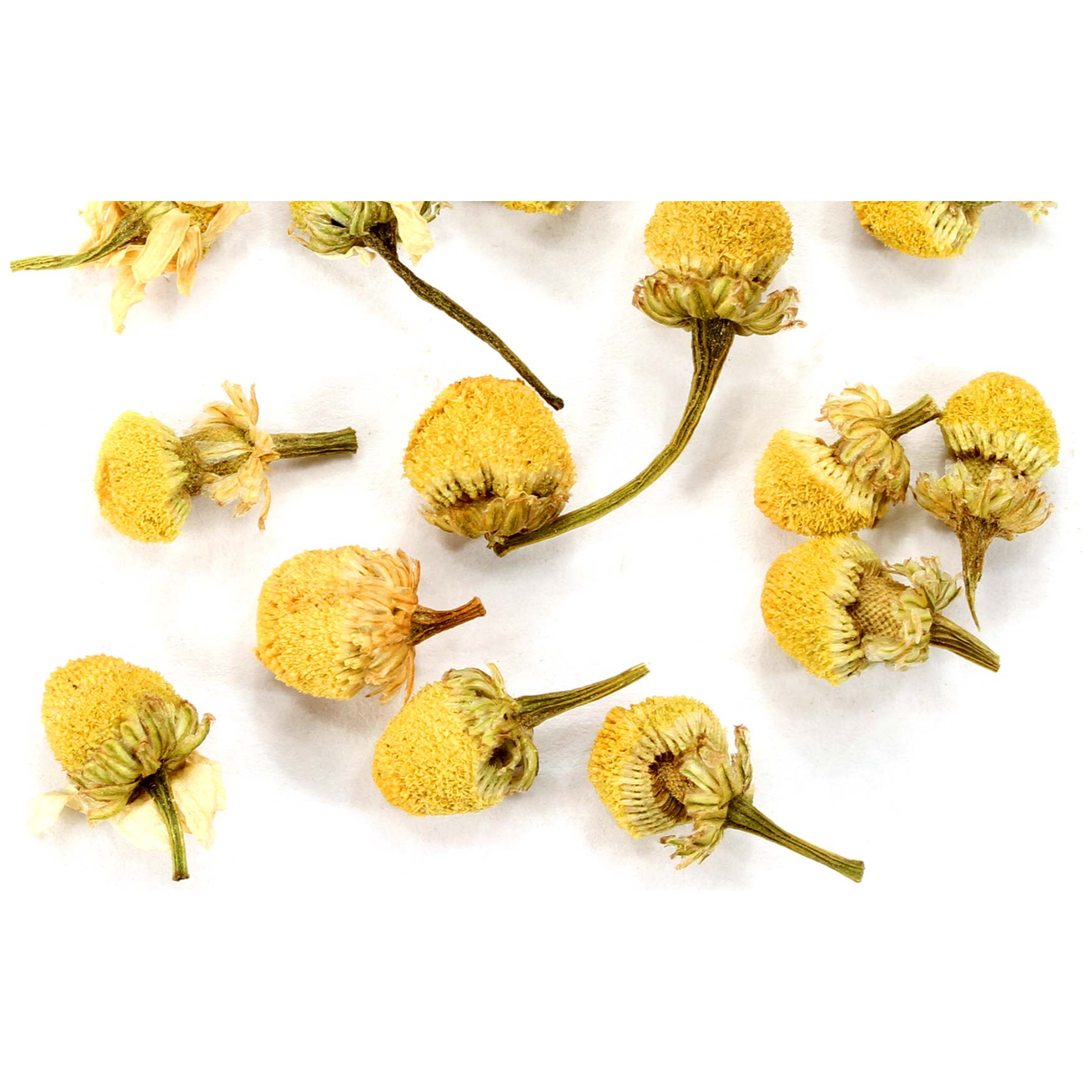 Chamomile