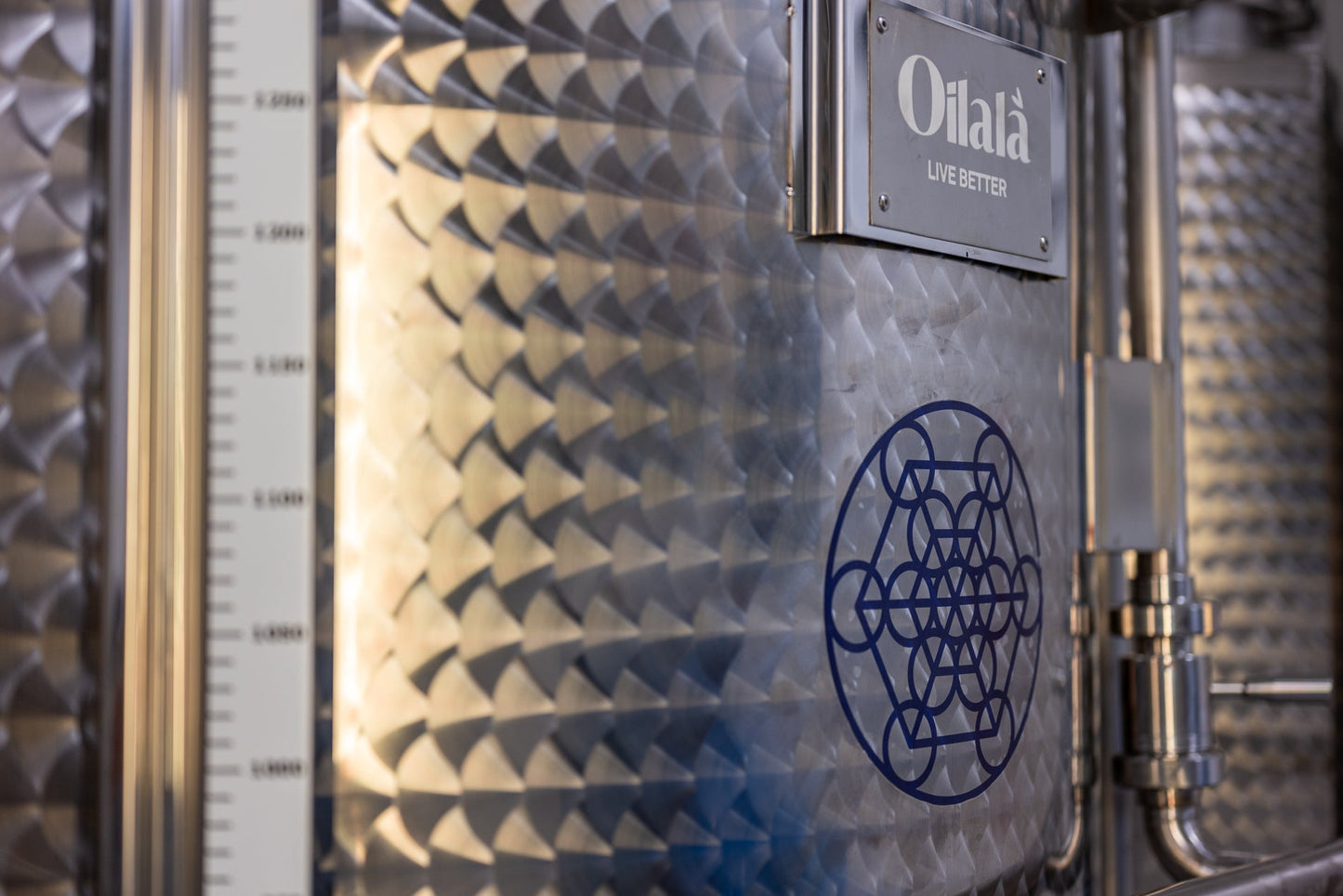 Intense Extra Virgin Olive Oil | Intosso Olive Oil Imported from Abruzzo, Italy