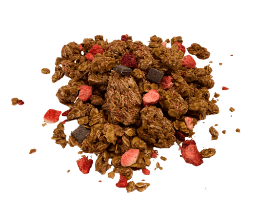 Granola, Dark Chocolate & Red Berries, Nature's Path