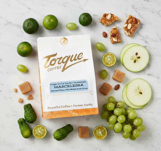 Marcelessa - Juan Diego De La Cerda, Guatemala