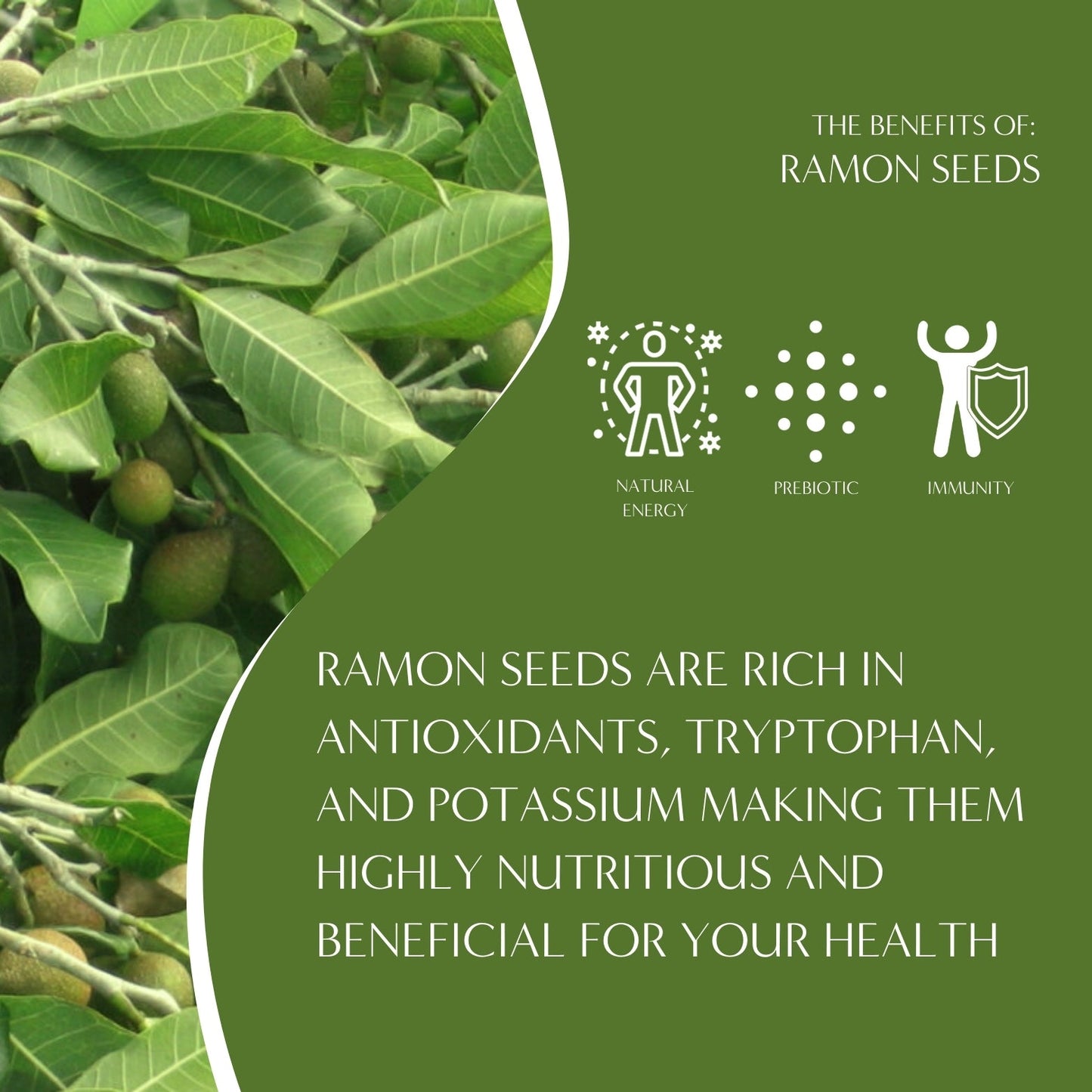 French Roast Chicory Herbal Coffee