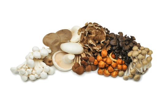 Certified Organic Exotic ShroomBox