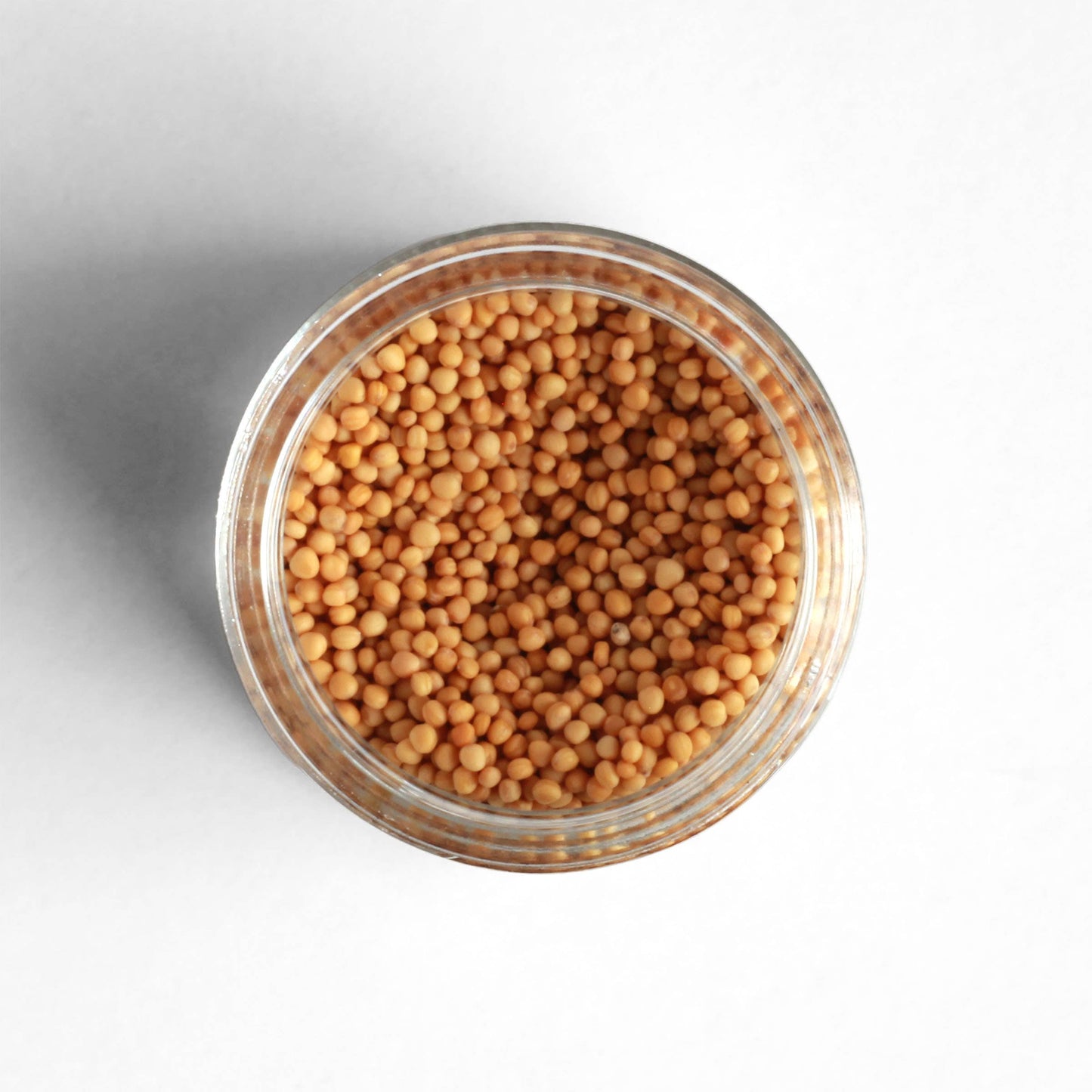 Curio Yellow Mustard - 6 Pack Case