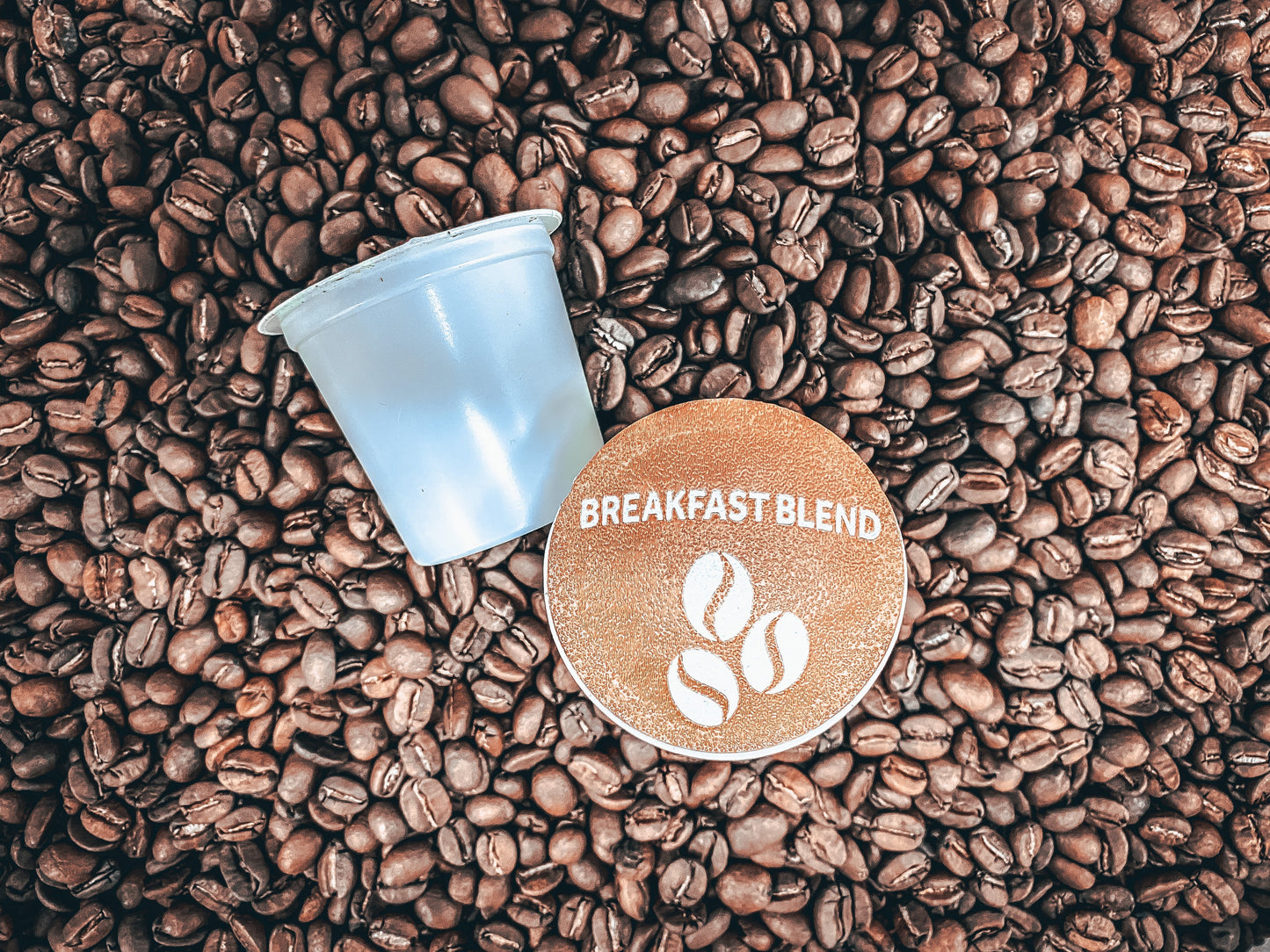 Bison Breakfast Blend | Medium Roast | Mixed Processed