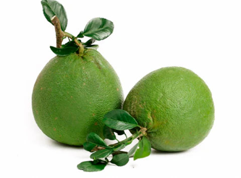 Vietnam Pomelo - Fresh and Sweet, Import Product ( From 3 to 7 Lbs/ each )