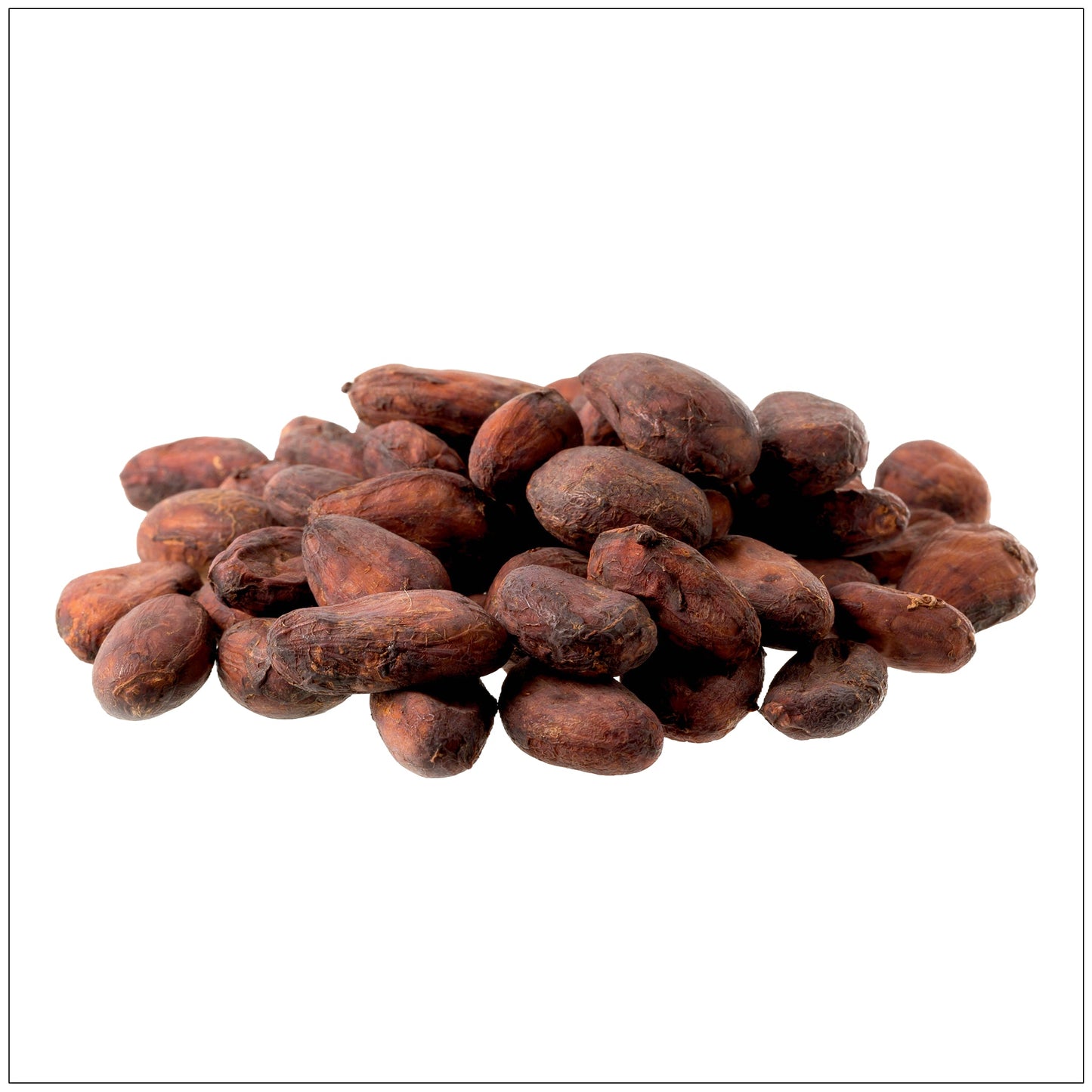 Cacao Beans