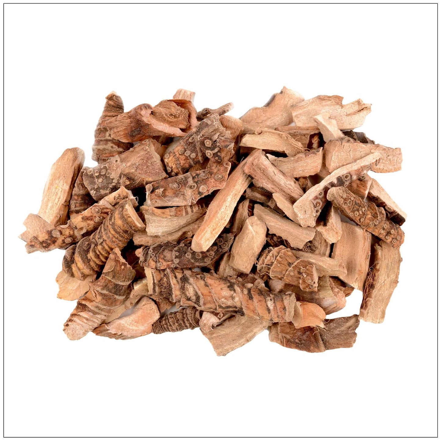 Calamus Root