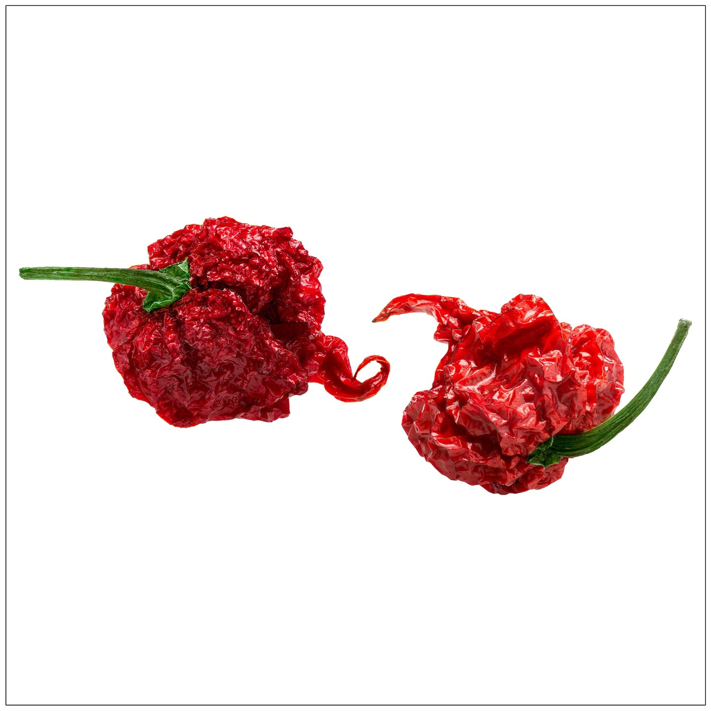 Carolina Reaper