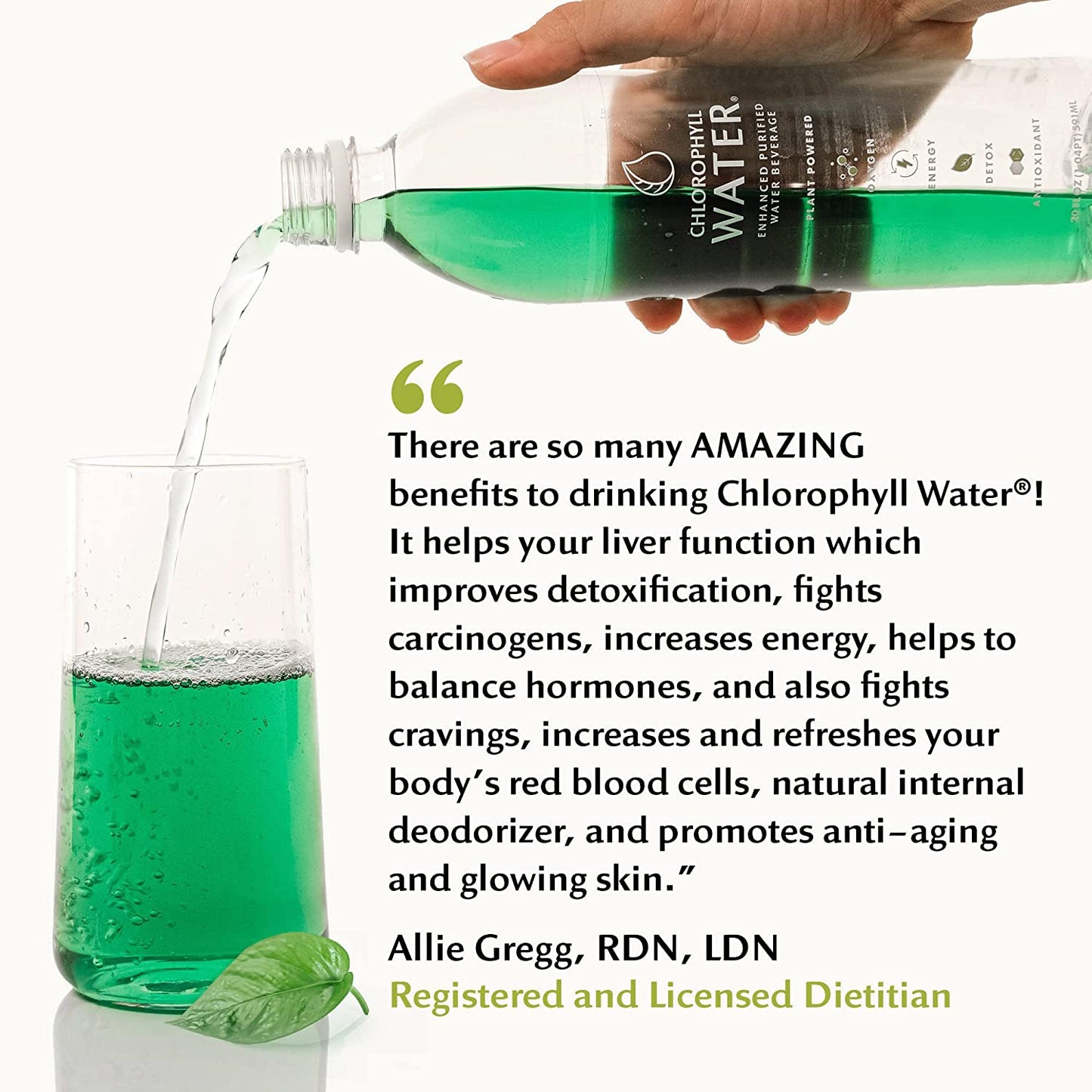 Chlorophyll Water® (Case of 12): Purified Mountain Spring Water with Essential Vitamins by Chlorophyll Water