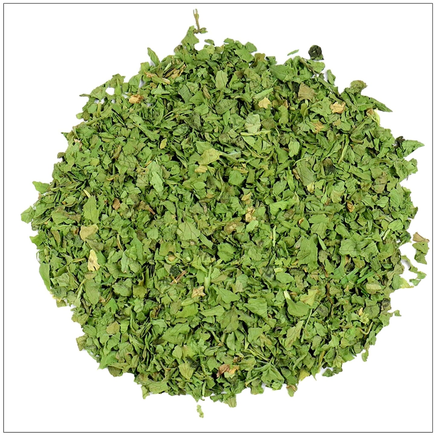 Cilantro Leaf