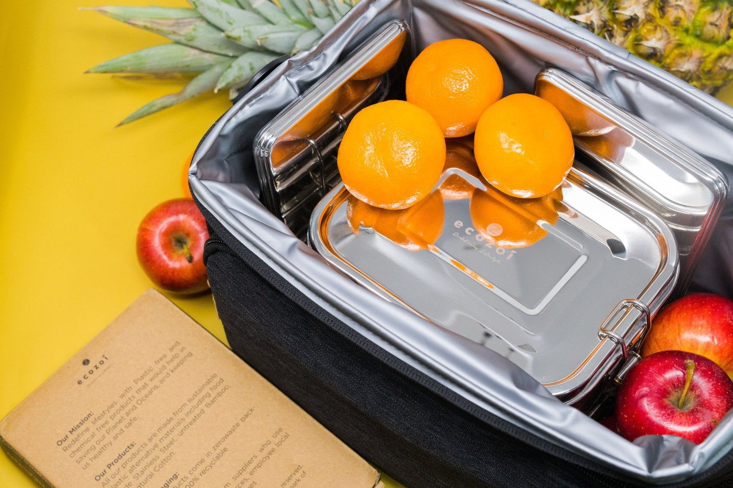 ecozoi Stainless Steel Freezer PACKS FOR LUNCH Boxes and Lunch Bags, 2 Pack