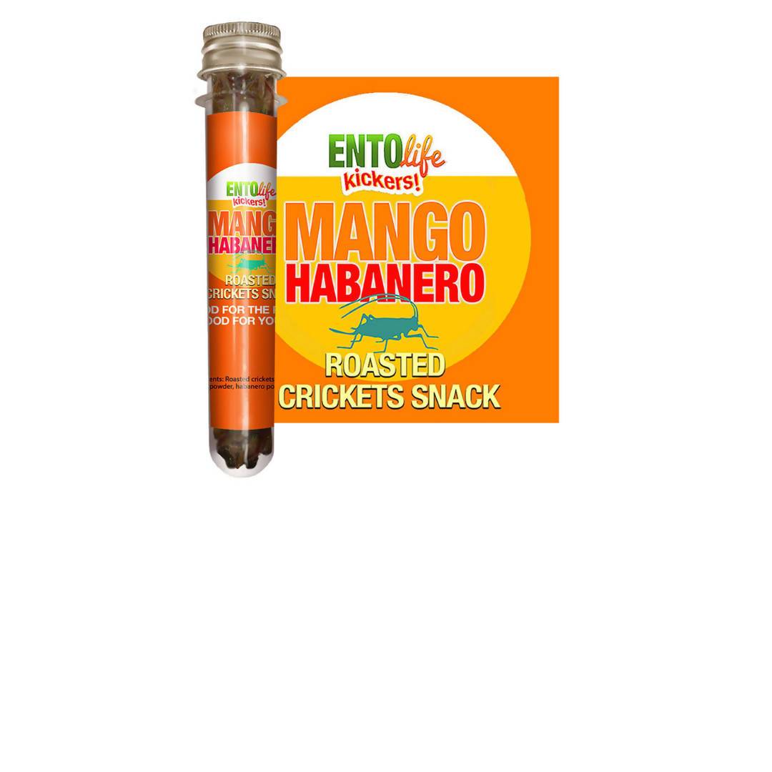 Mango Habanero Roasted Cricket Snack Tubes - 6 x 10g