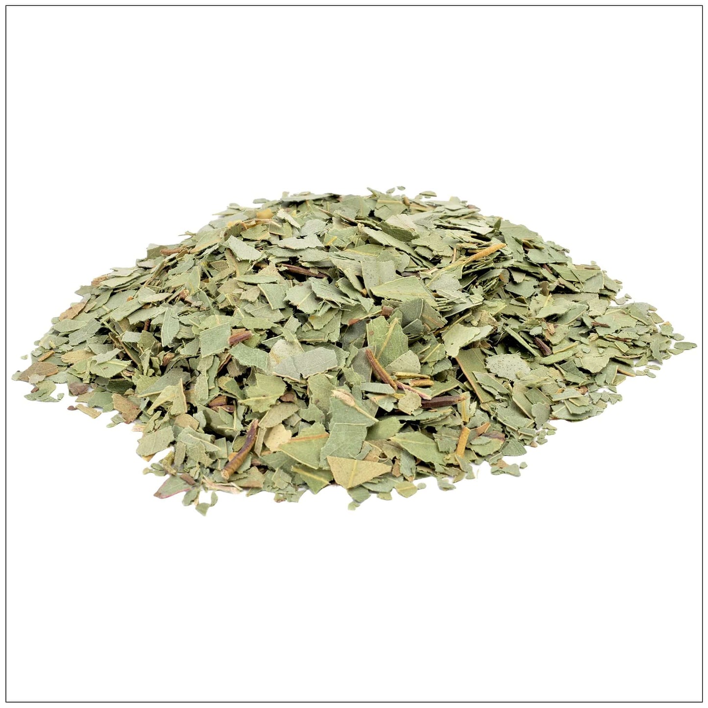 Eucalyptus Leaf