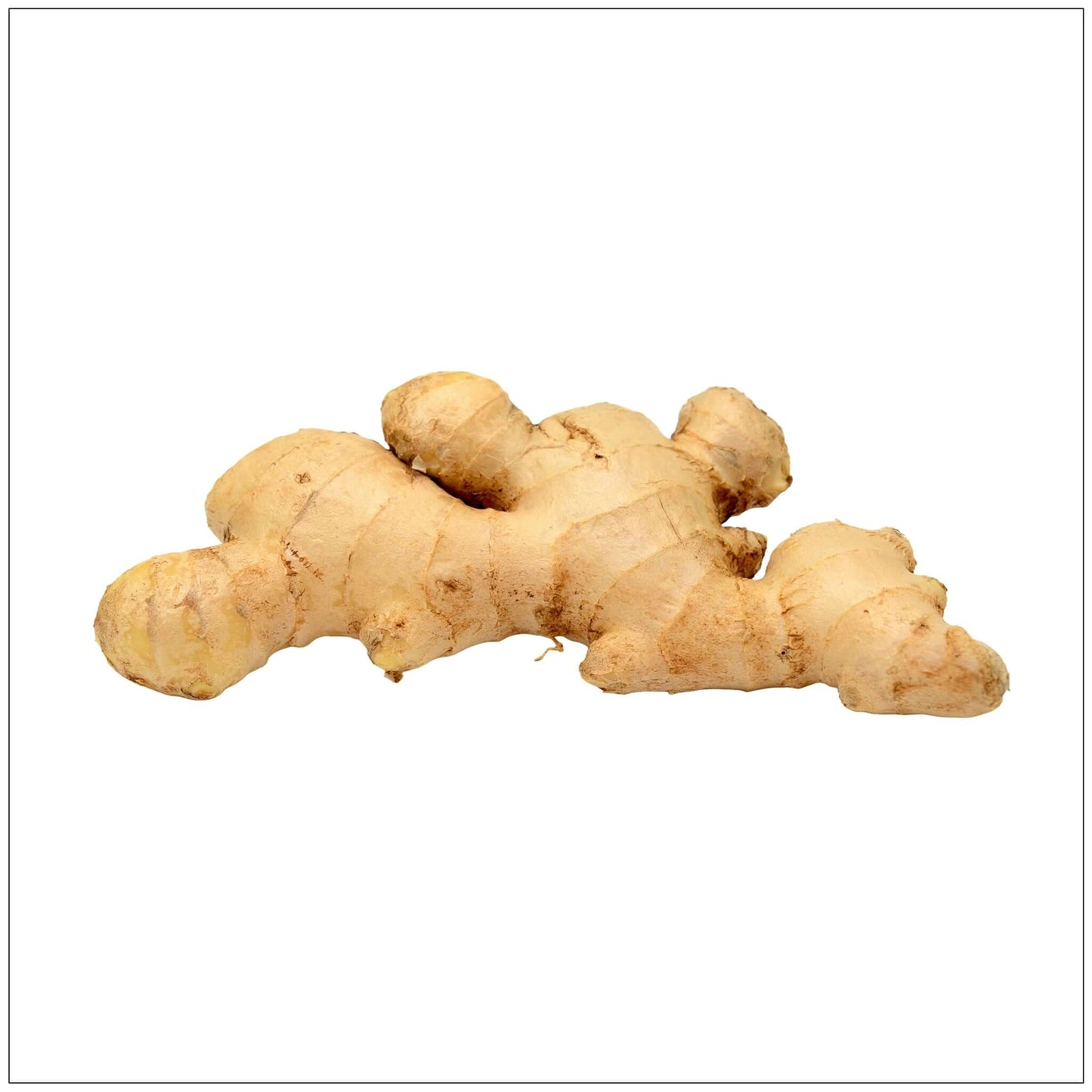 Ginger Root