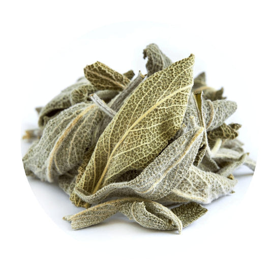 Greek Sage (Ikaria, Blue Zone)