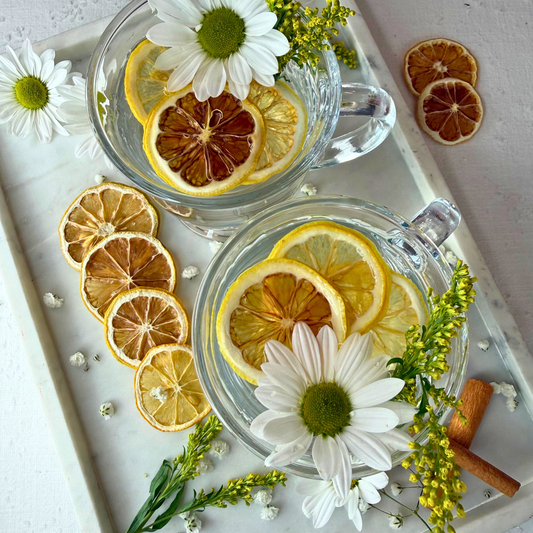Dehydrated Lemon Slices | Dried Lemons for Bar & Decor