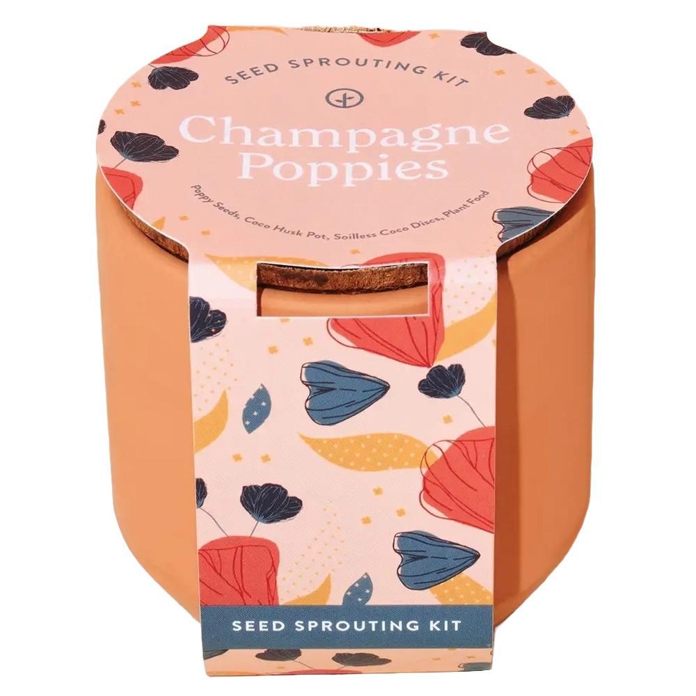 Modern Sprout - 'Champagne Poppies' Terracotta Seed Sprouting Kit