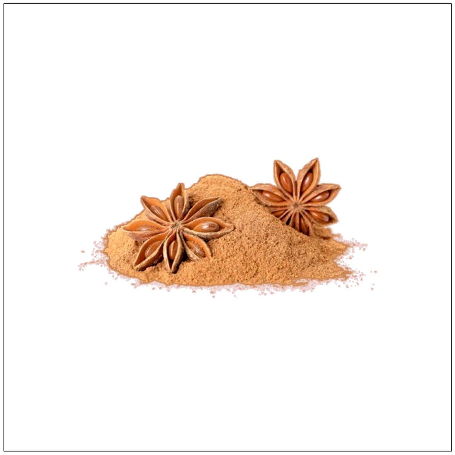 Cinnamon Powder