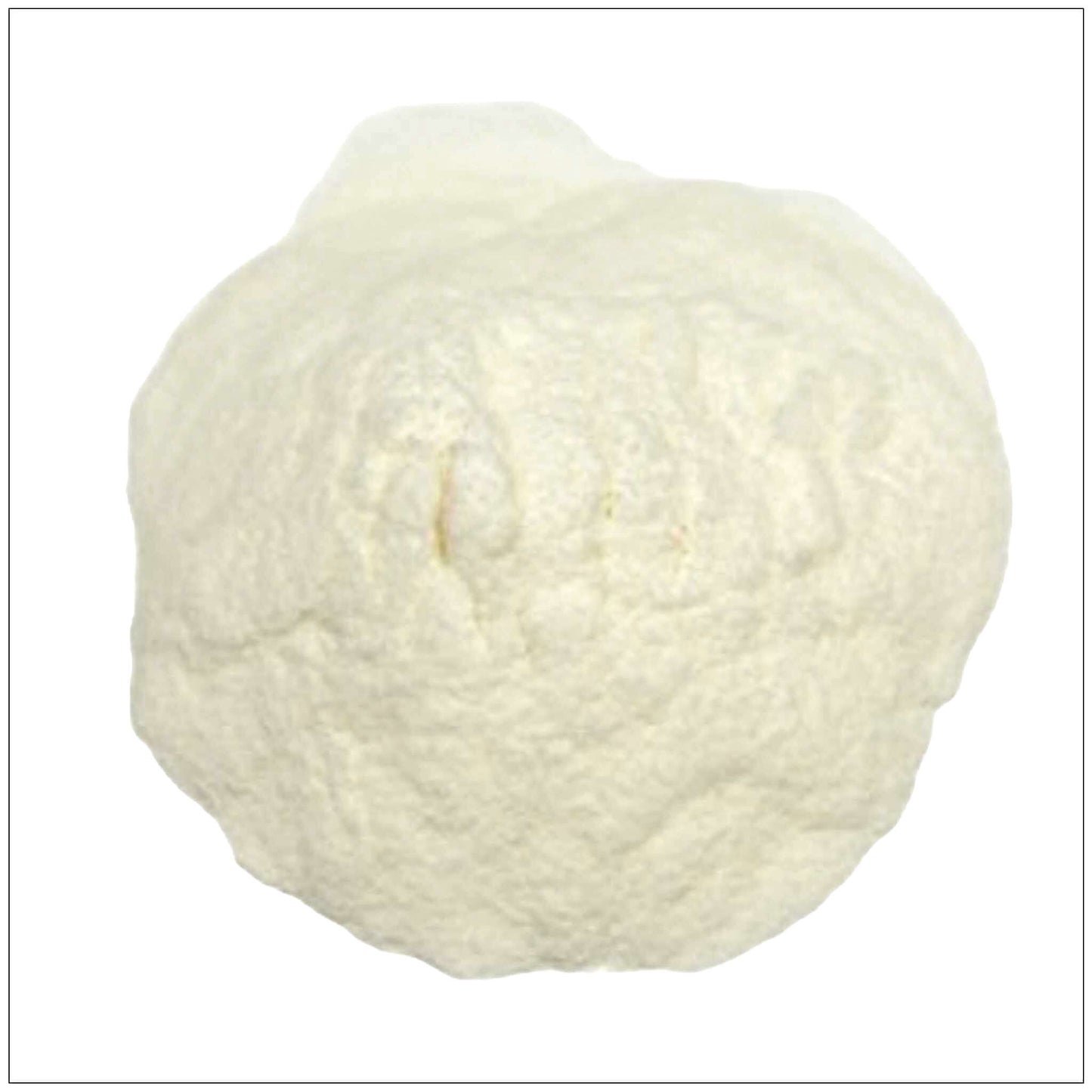 Papain Powder