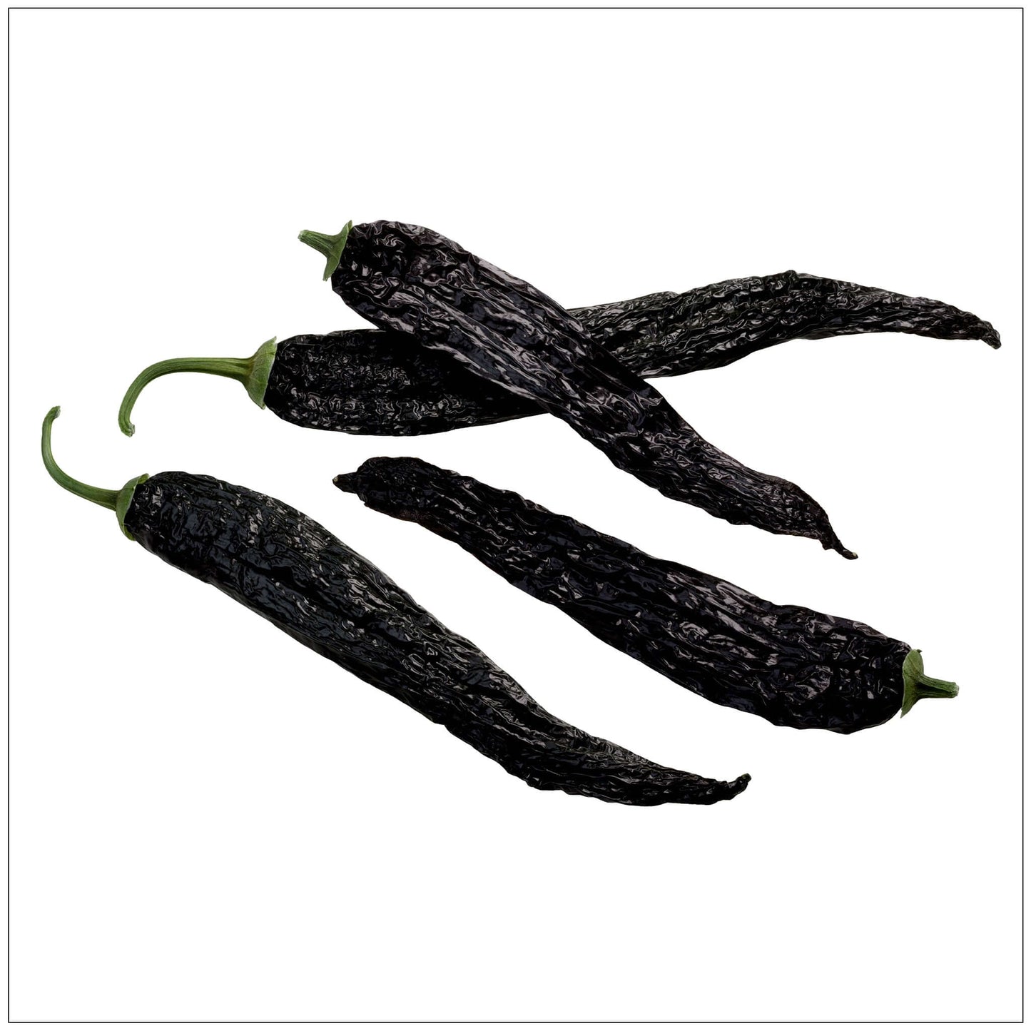 Pasilla Peppers