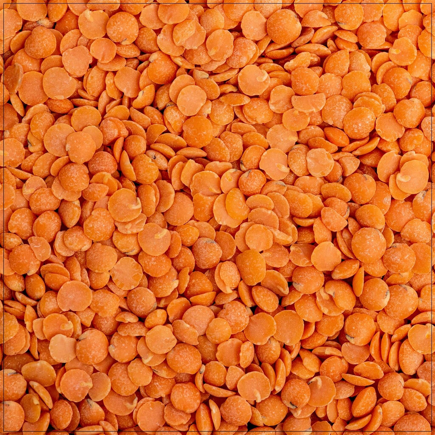 Red Split Lentils
