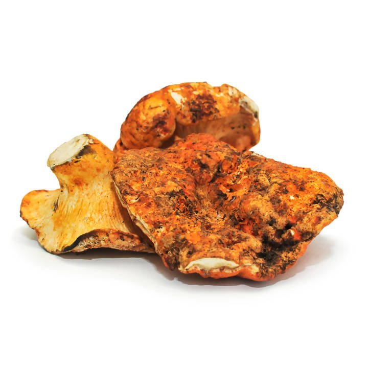 Mush Hub Dried Wild Mushrooms Assortment