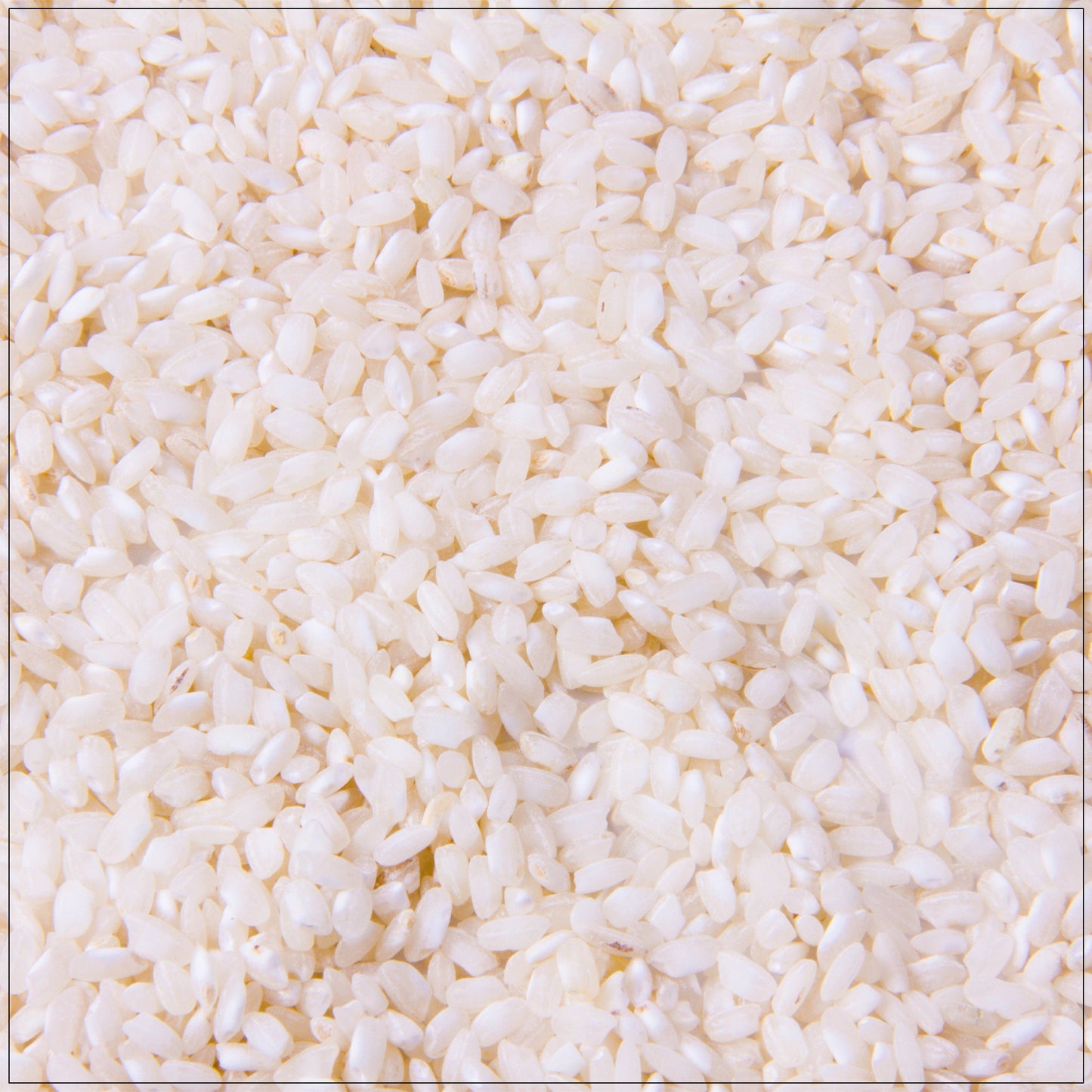 Valencia Rice