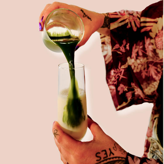 Culinary Grade Matcha — 3.52 oz.