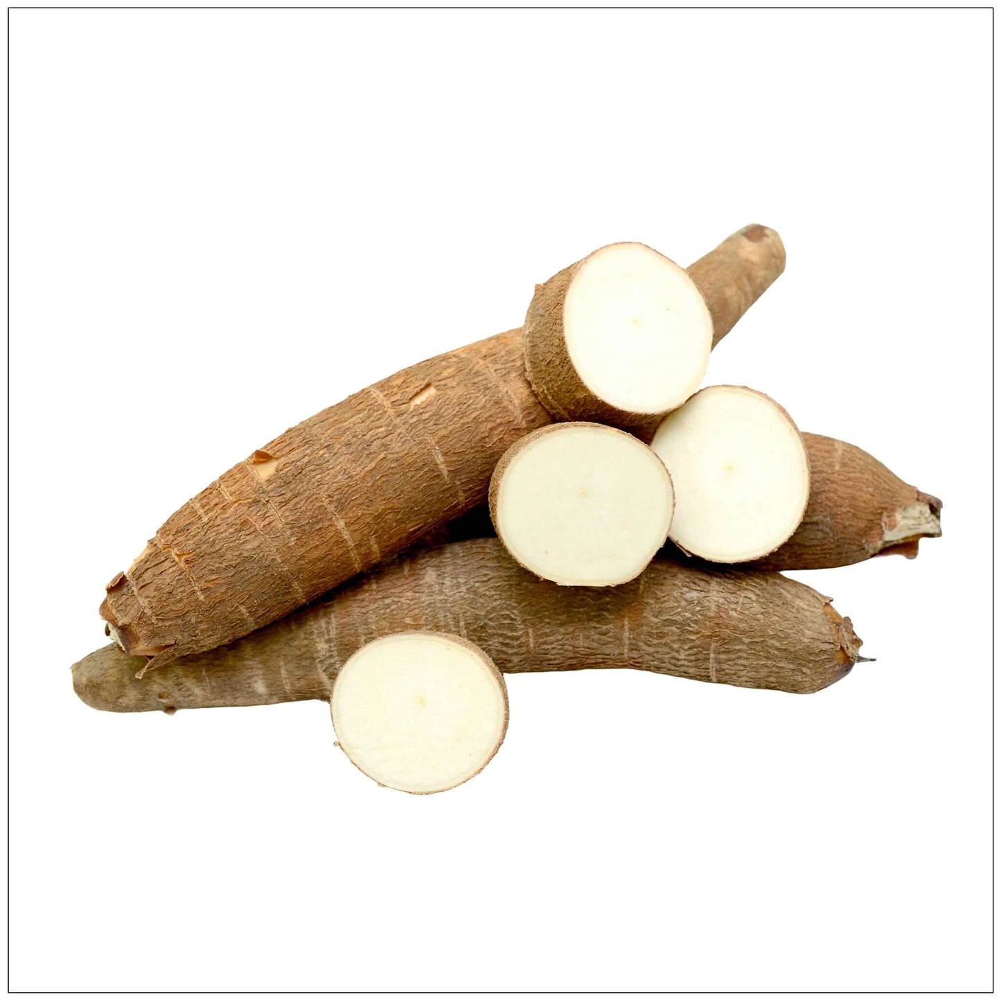 Yucca Root