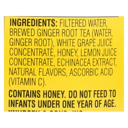 Rw Knudsen Lemon Ginger Echinacea Juice  - Case of 6 - 32 FZ