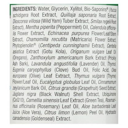 Nature's Answer Cool Mint Alcohol-Free Mouthwash 16 Fl Oz