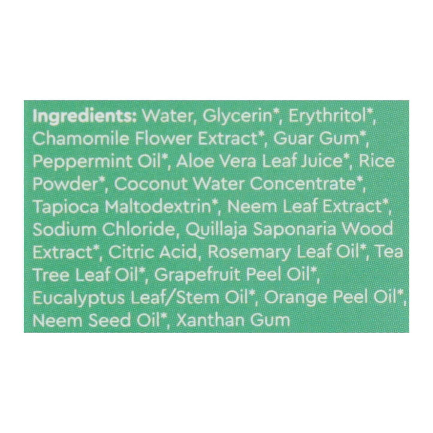 Radius Whitening Mint Aloe Neem Toothpaste  - 1 Each - 3 Oz