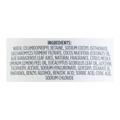 Kirk's Natural - Hand Soap Lemon Eucalyptus - 12 Fz