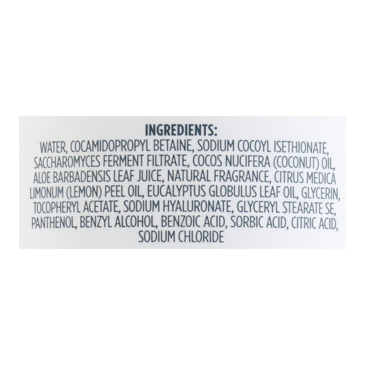 Kirk's Natural - Hand Soap Lemon Eucalyptus - 12 Fz