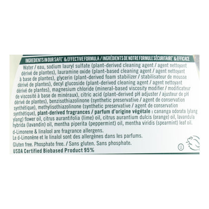 Seventh Generation - Dish Liquid Lavender Mint - Case Of 6-19 Fz