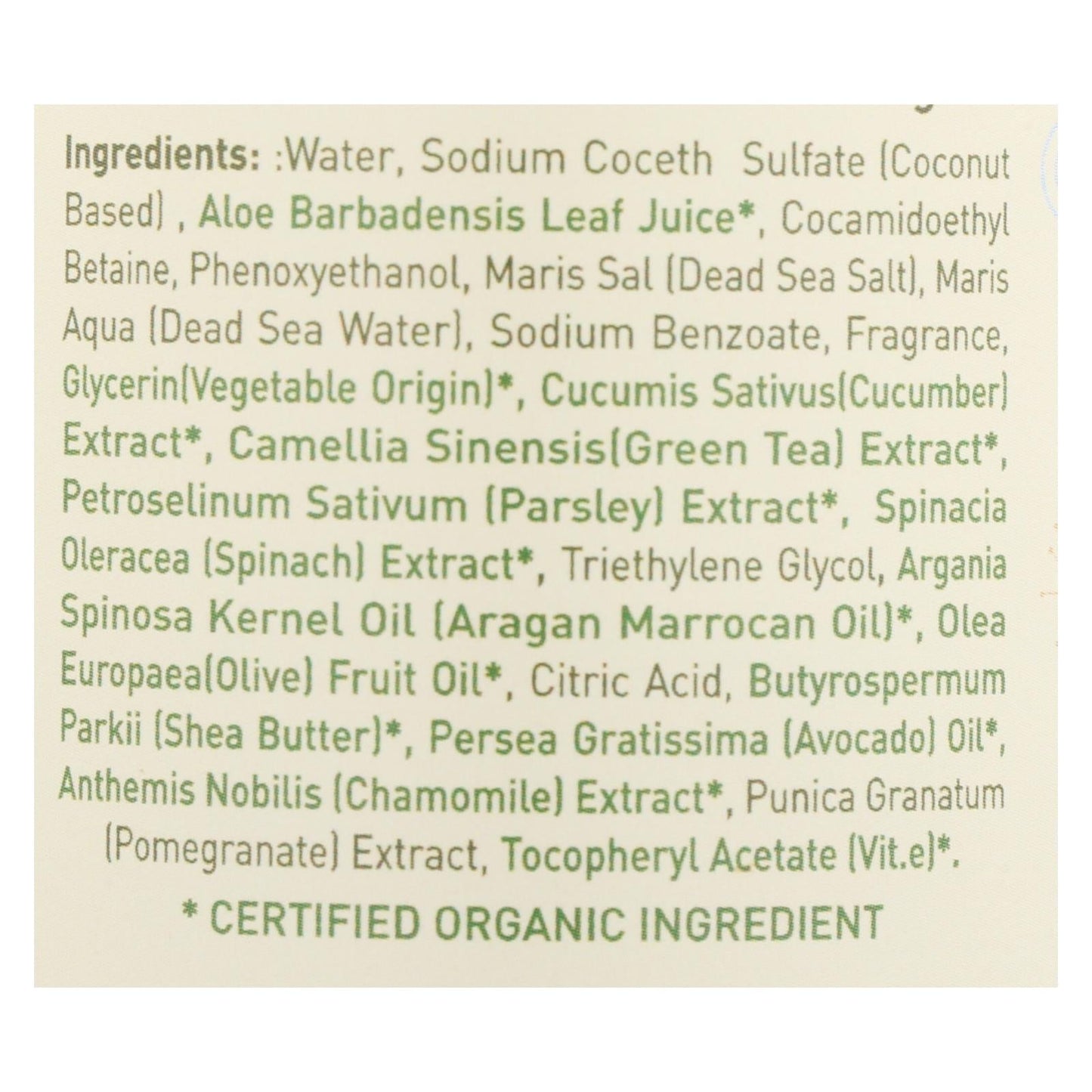 Ecolove Green Veggie Body Wash 17.6oz, Ages 6m+ (Case of 500)