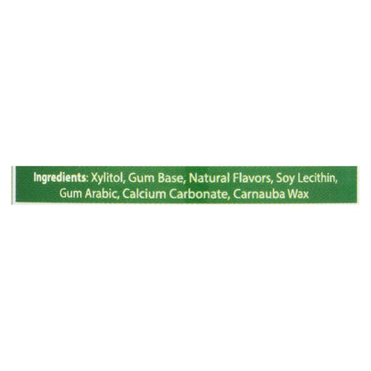 Epic Dental - Xylitol Gum - Spearmint - 50 Count