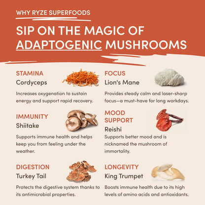 Ryze Mushroom Coffee (30 Servings) - Clearance Sale