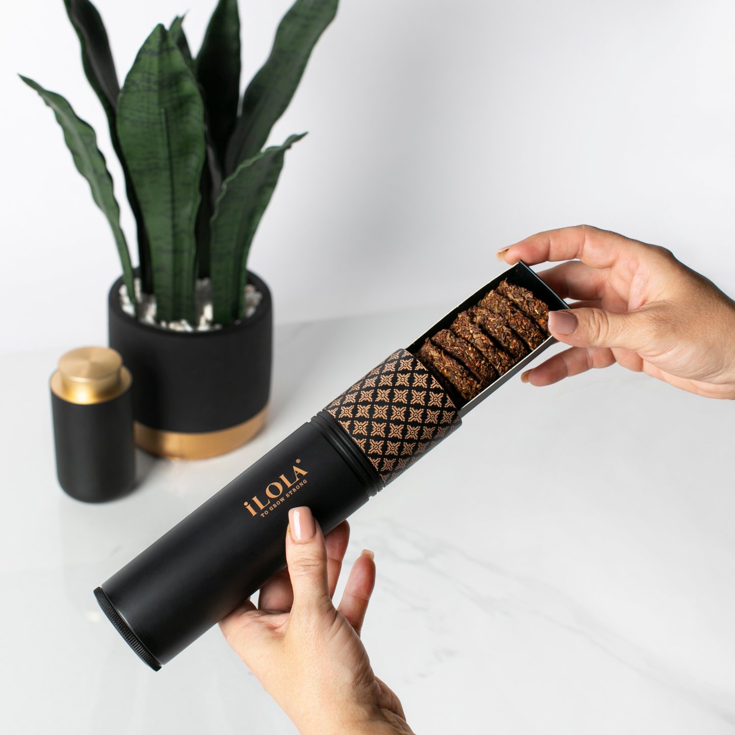 iLOLA Humidor Starter Set – Tea Aging + Storage System