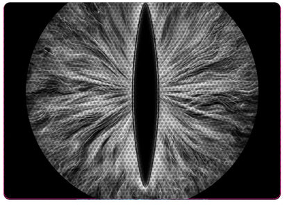 Black and white Eye decals for YJ or 5x7 headlights